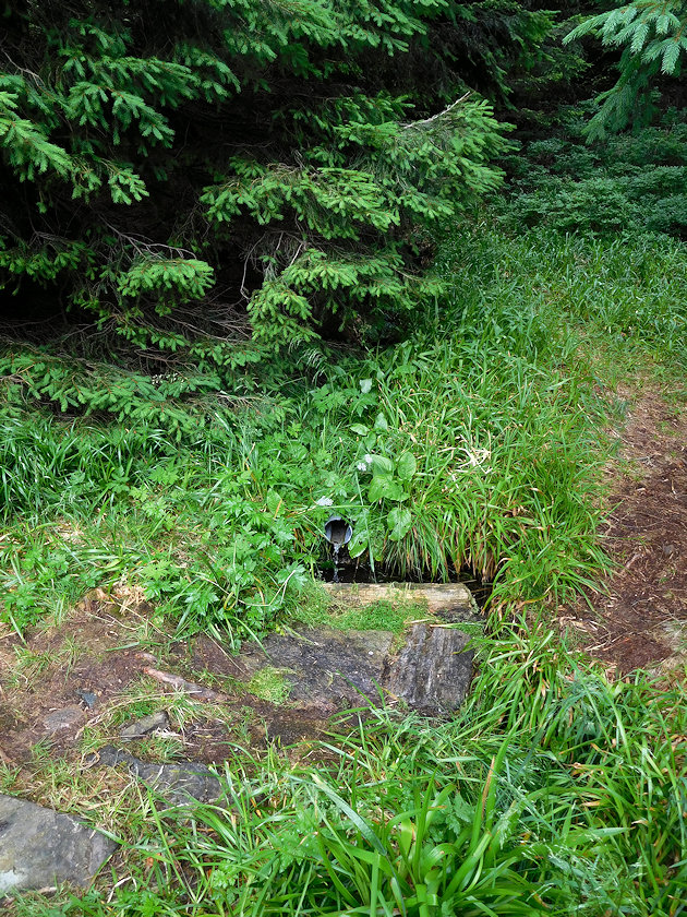 studánka Brousek (7193) - červenec 2021
