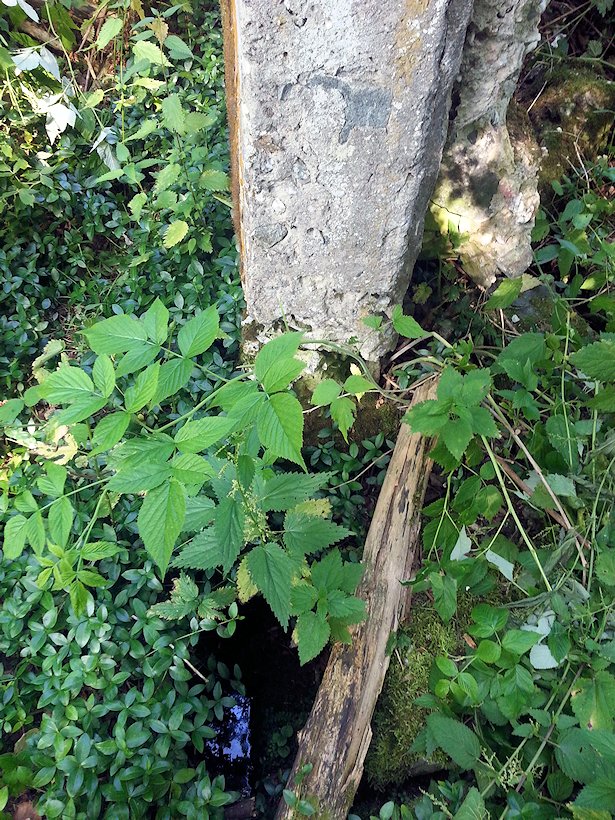 studánka Jäckelova (7201) - červenec 2013
