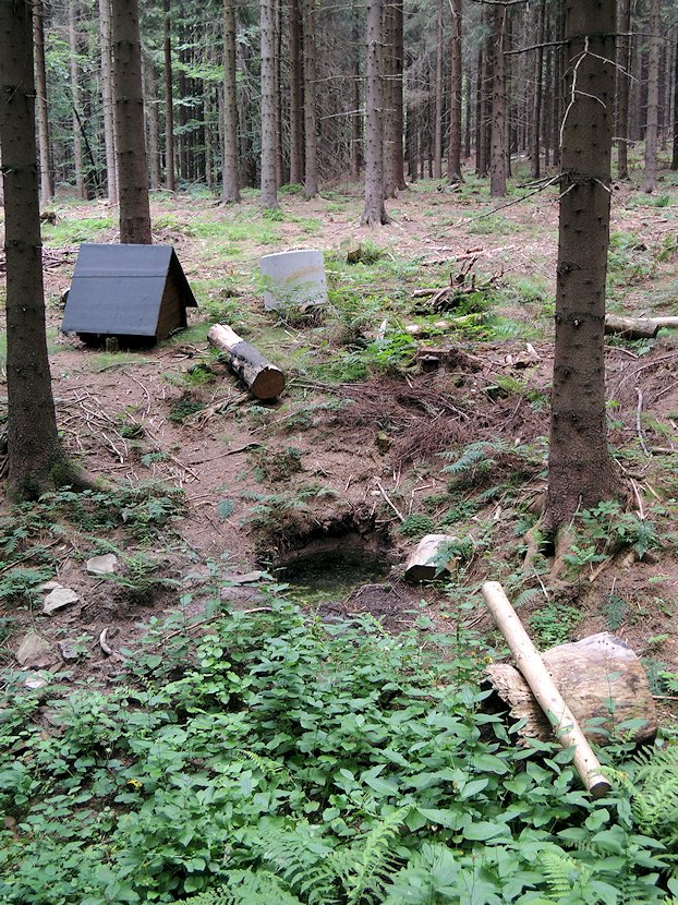 studánka bez jména (7207) - červenec 2013