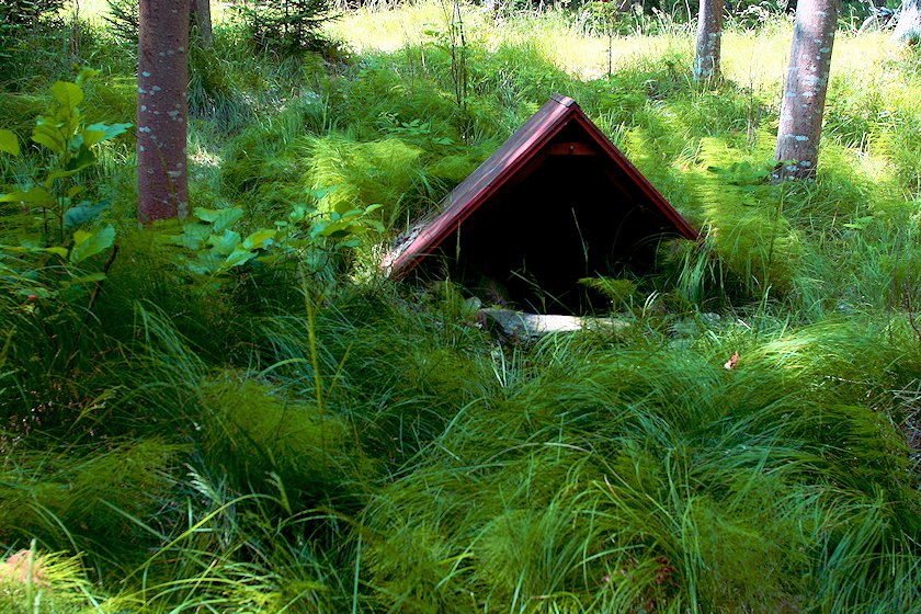 studánka bez jména (7214) - červenec 2013