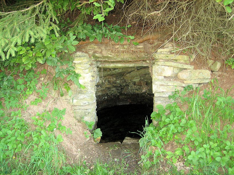 studánka Nad Potůčkami (7217) - červenec 2013