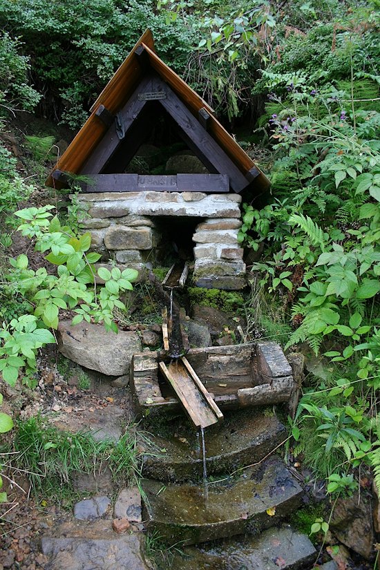 studánka U Hřiště (7218) - červenec 2013