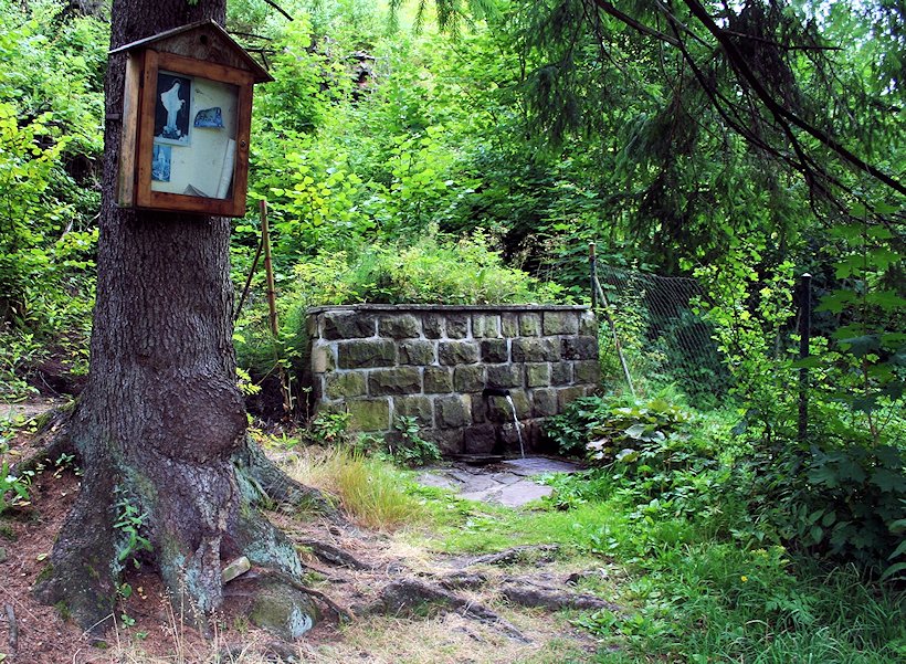 studánka Na Lučině (7219) - červenec 2013