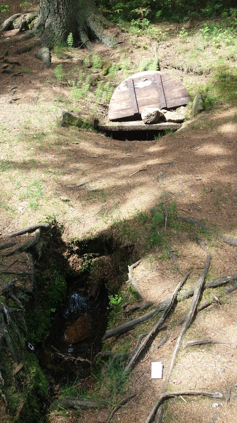 studánka Nad Pavlovskem (7239) - červen 2021