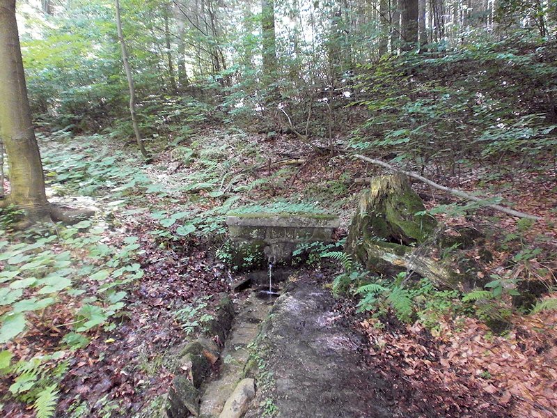 studánka bez jména (7249) - srpen 2013