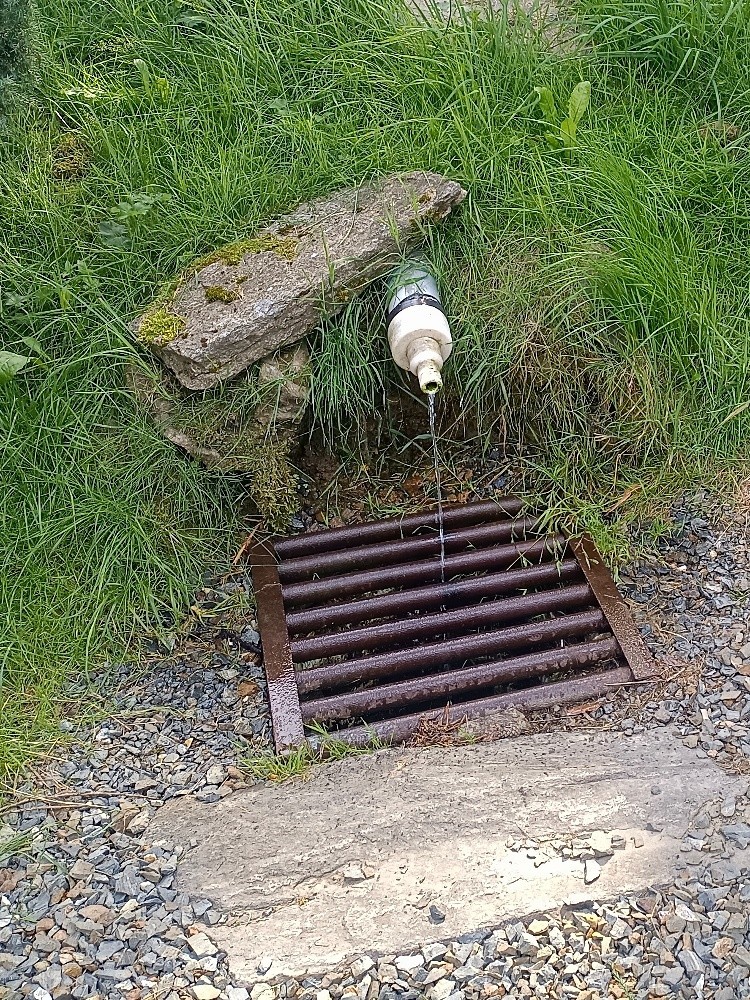 studánka Bezděkov (7279) - červenec 2024