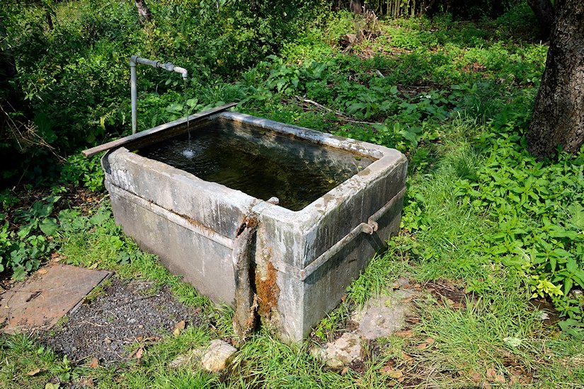 Obecní studánka Hrušovka (7306) - srpen 2013