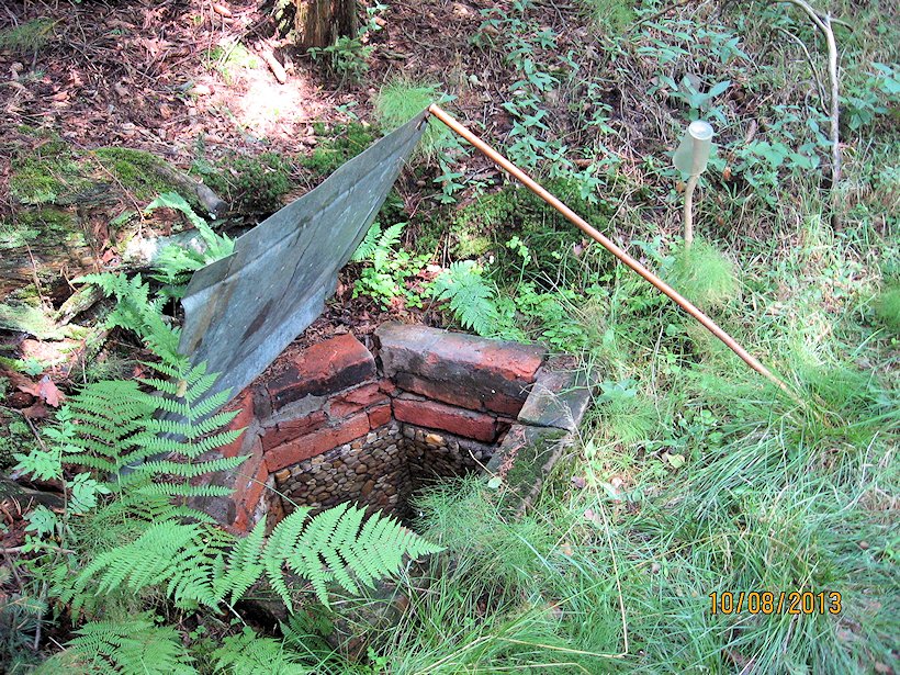 studánka U Brožkovy hájenky (7308) - srpen 2013