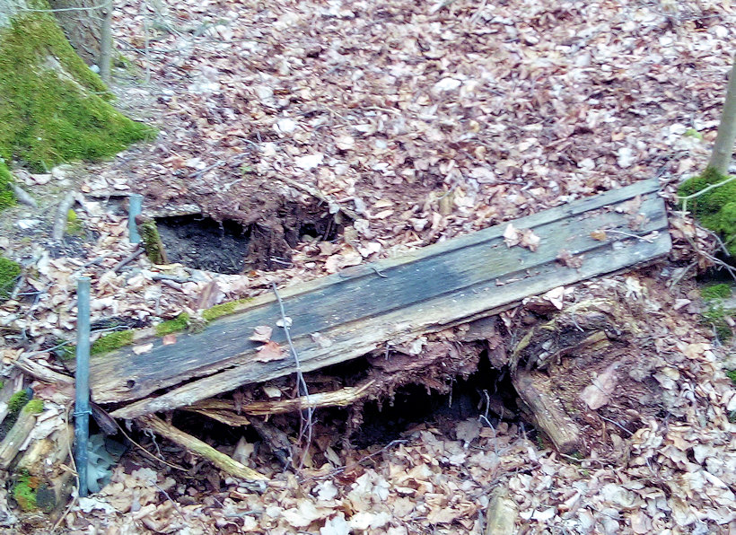 Svojsíkova studánka (7344) - duben 2020
