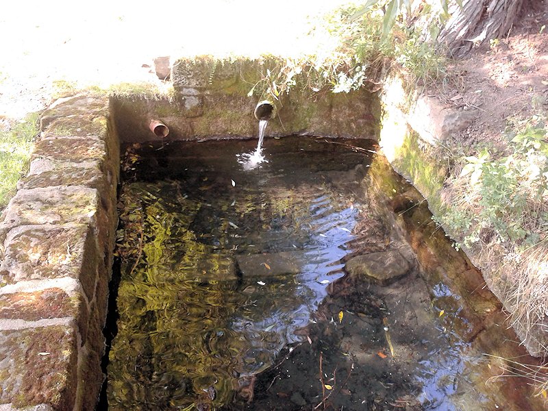 studánka bez jména (7347) - srpen 2013
