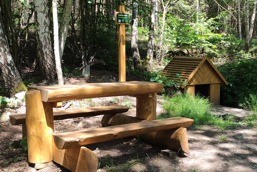 studánka Svačinová (7389) - červen 2022