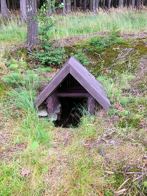 studánka Pod Kobylím kopcem (7401) - srpen 2013
