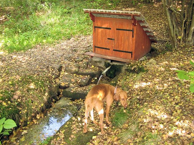 studánka bez jména (7410) - datum neznámé