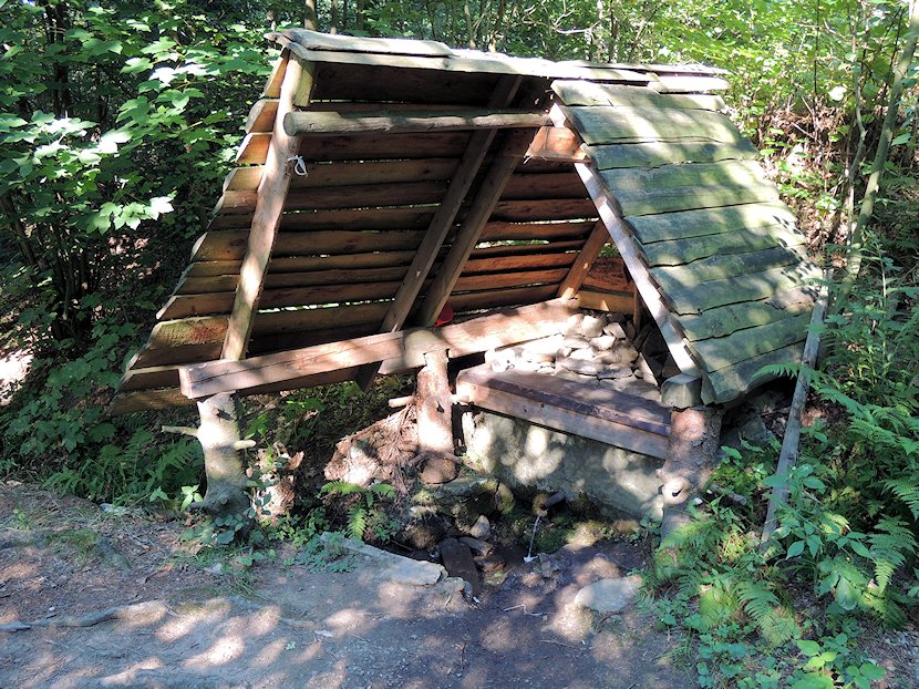 studánka Na Mlýnku (7439) - srpen 2013