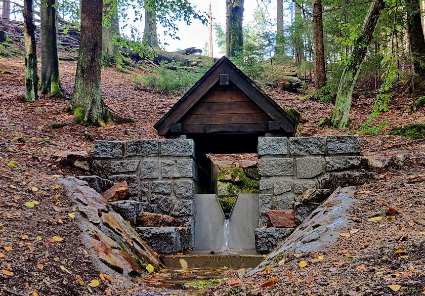 studánka V lese (7449) - září 2021