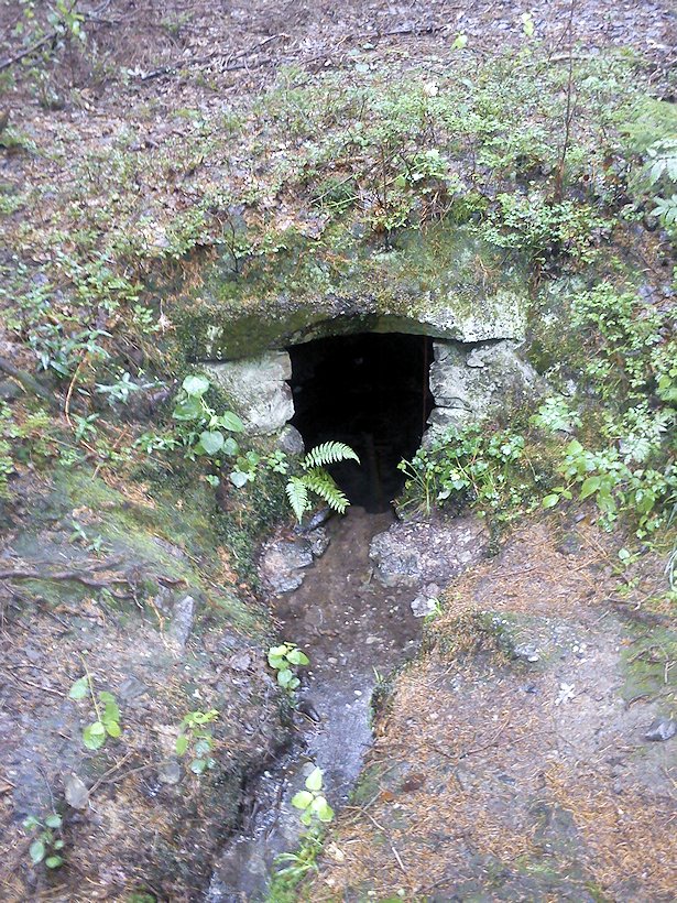 studánka Na Pohodnici (7450) - září 2013