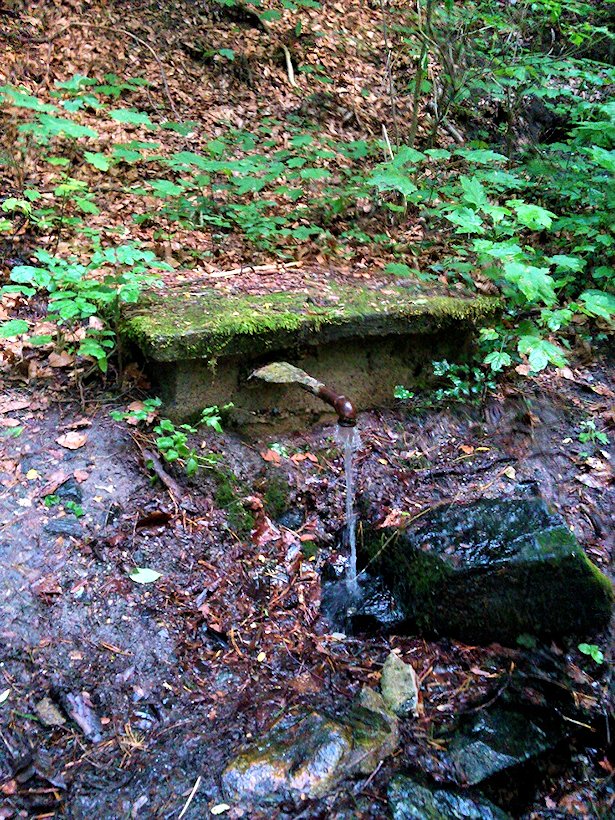 studánka Nad řekami (7468) - září 2013