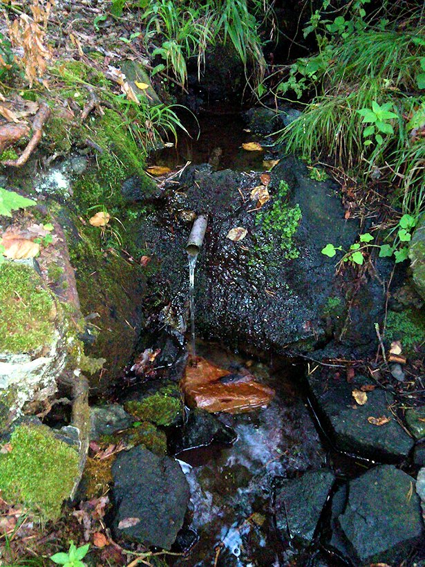 studánka bez jména (7469) - září 2013