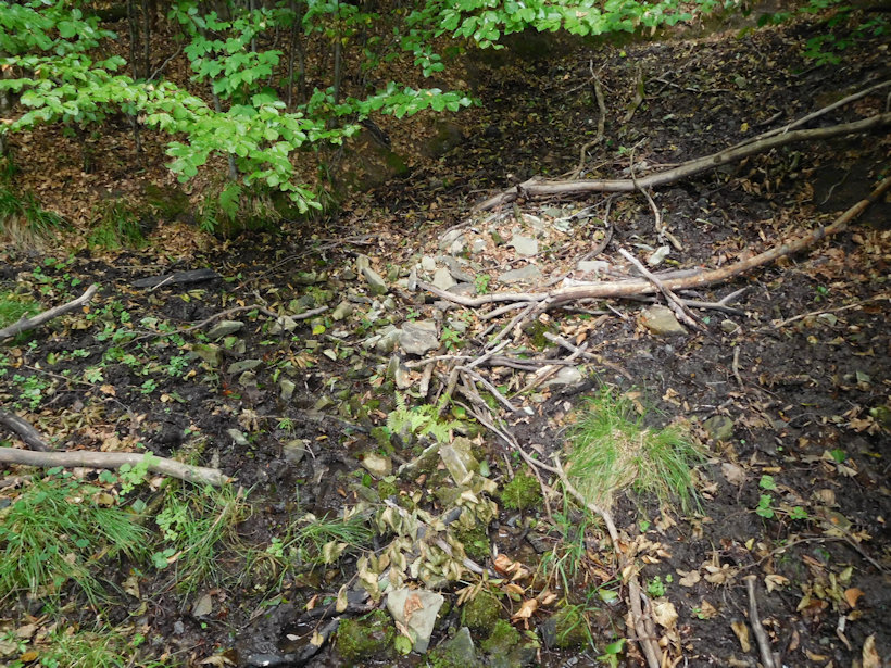 studánka Za Tlustou (7505) - červenec 2022