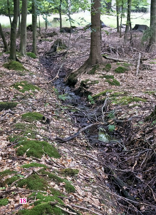 prameniště Geografický pramen Oslavy (7511) - září 2013