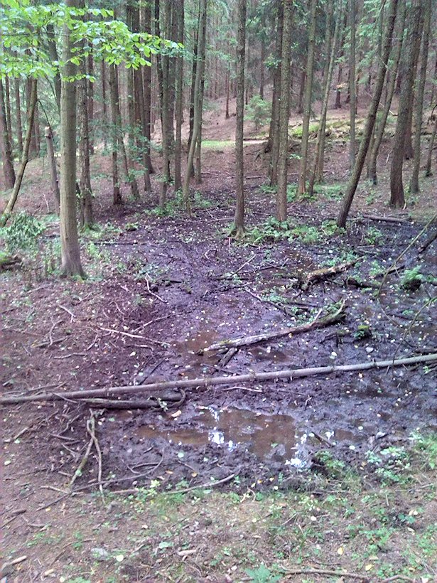 prameniště Pod Serpentinami (7516) - září 2013