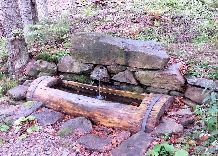 studánka bez jména (7537) - září 2013