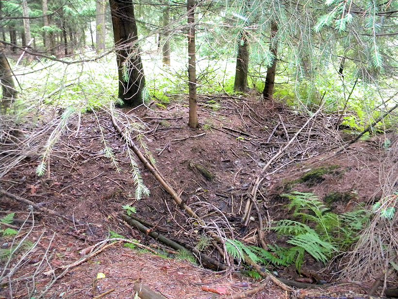 studánka U Bílé (7575) - září 2013