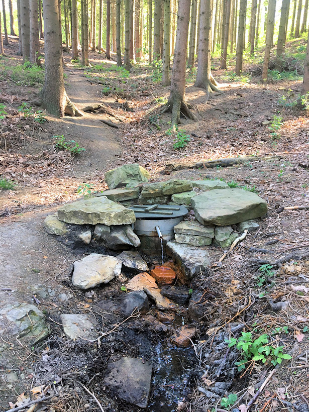 studánka Kořenkova kyselka (7576) - duben 2020
