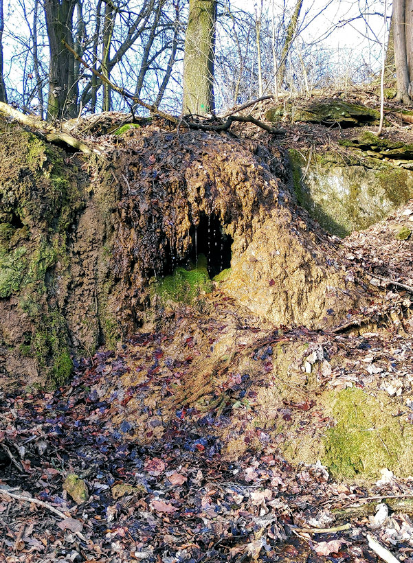 pramen Nad vodopádem (7597) - březen 2019