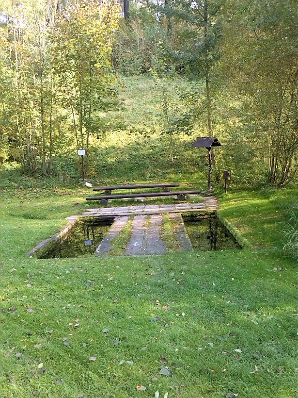 jiný vodní zdroj Močidlo pod rybníkem (7598) - říjen 2013