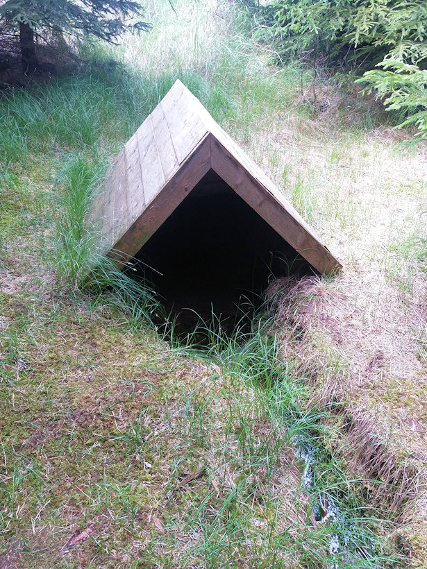 studánka Pod Březovou mytí (7618) - červen 2020