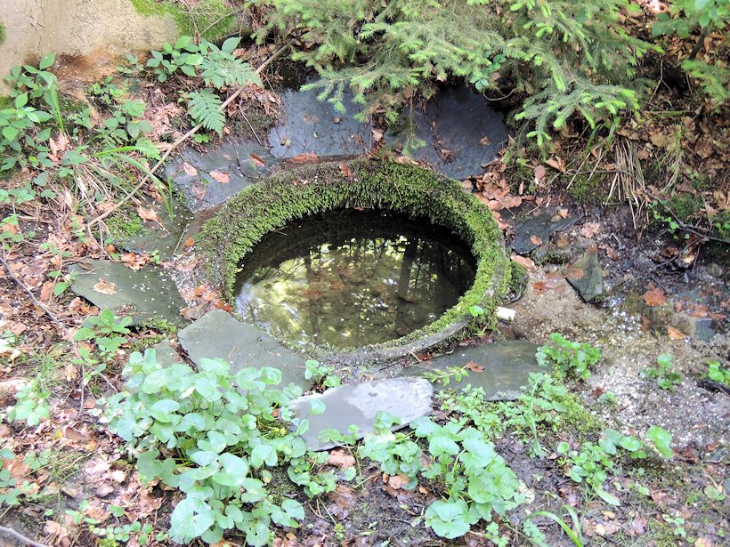 studánka Dvojitá (7634) - říjen 2013