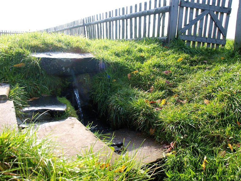 studánka bez jména (7645) - říjen 2013