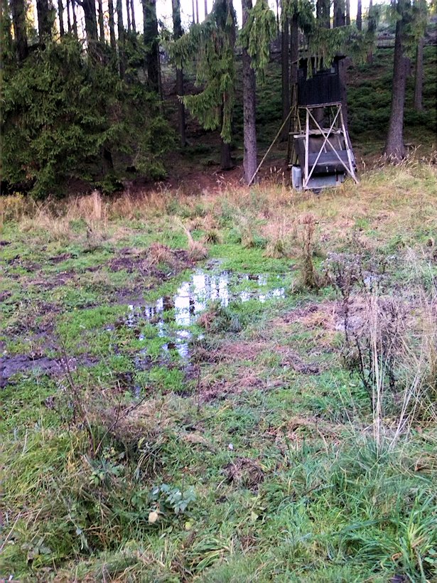 prameniště Hájecký potok (7656) - říjen 2013