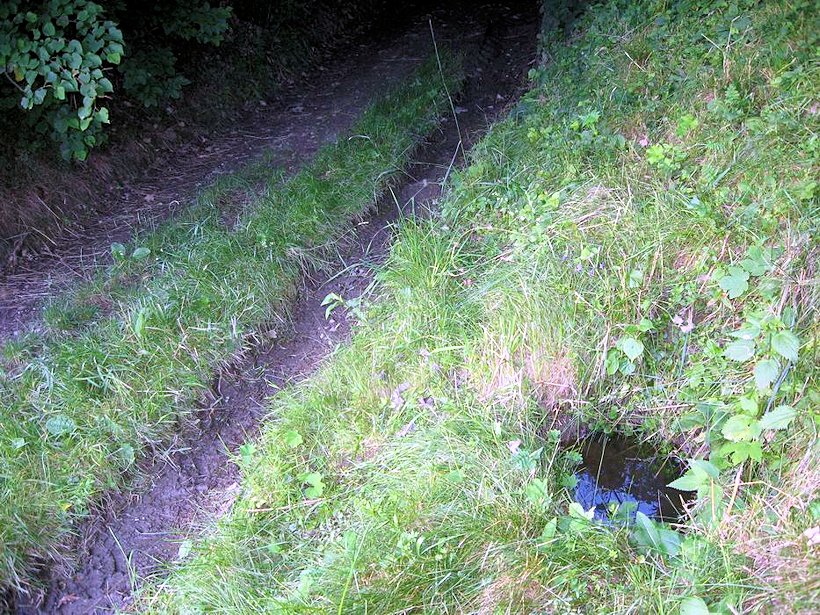 studánka bez jména (7658) - říjen 2013