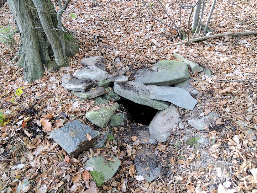 studánka bez jména (7678) - říjen 2013