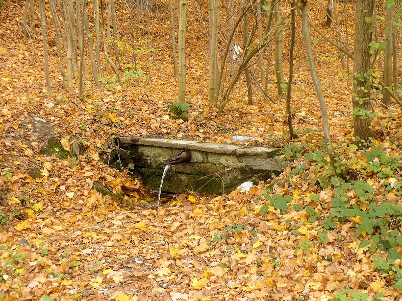 studánka bez jména (7689) - říjen 2013