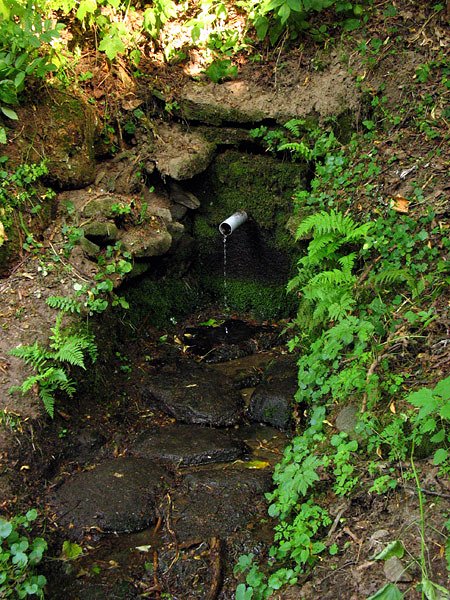 studánka Pod hřbitovem (7699) - listopad 2013