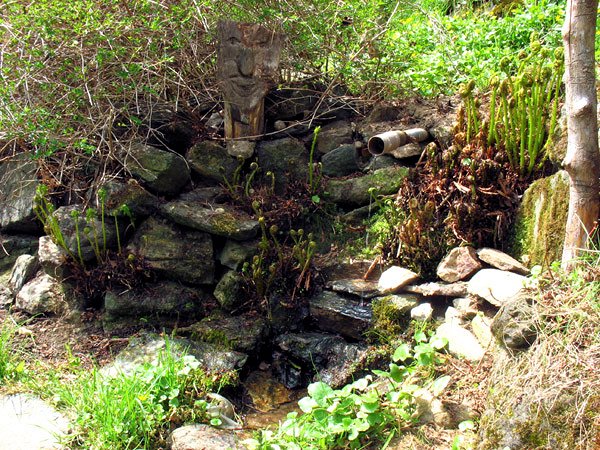 Raclova studánka (7700) - listopad 2013