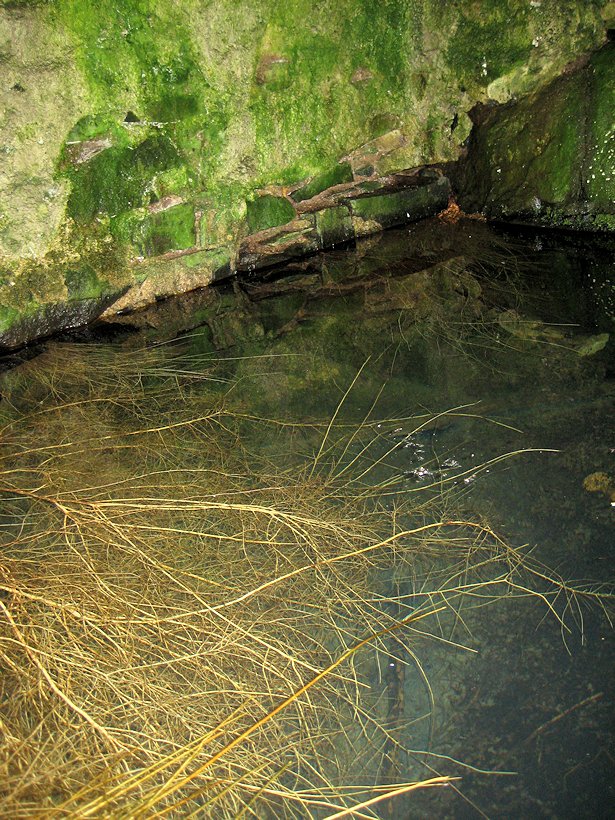 studánka bez jména (7707) - listopad 2013