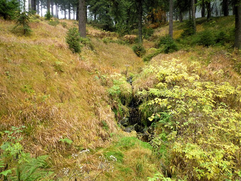 studánka Mittelbach (7710) - listopad 2013