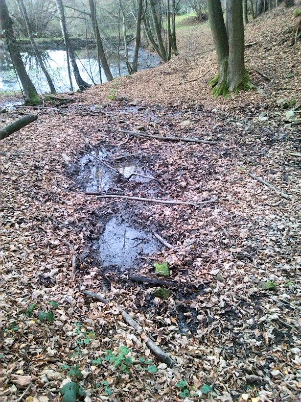 prameniště Nad rybníčkem (7716) - listopad 2013