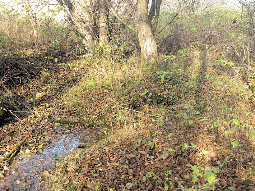 studánka U dolního farského (7727) - listopad 2013