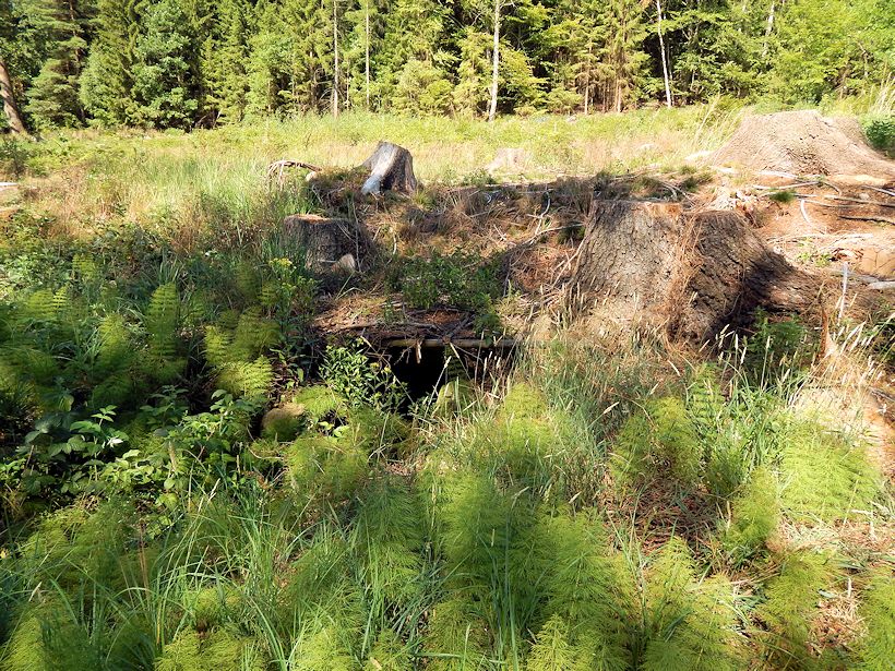 studánka Pod smrkem (7728) - datum neznámé