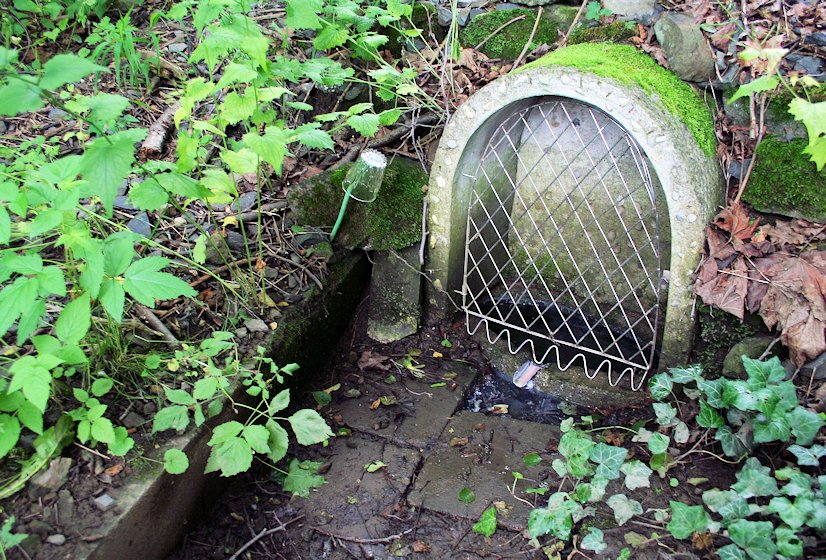 Sirná studánka (7742) - listopad 2013