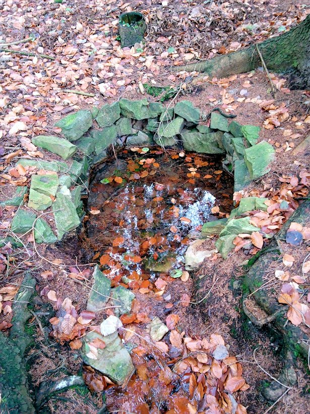 studánka V Modříní (7747) - listopad 2013
