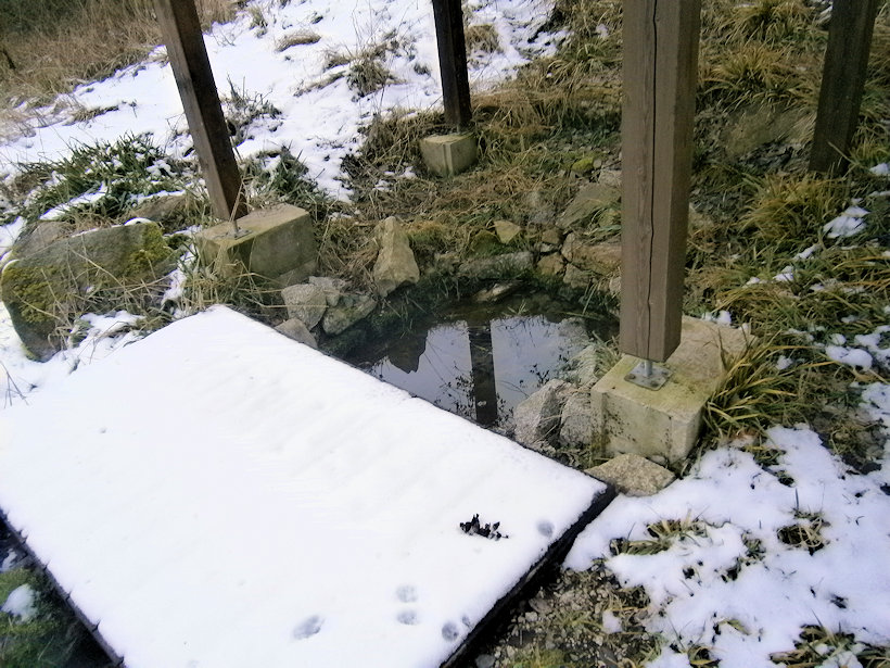 studánka U Rybníka (7757) - únor 2020