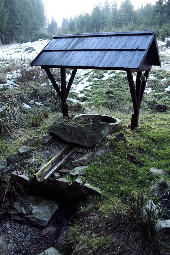 studánka Milíkovská (7787) - prosinec 2013