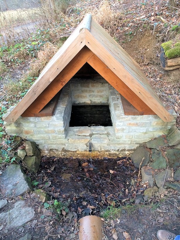 studánka U Staré hájenky (7816) - prosinec 2013