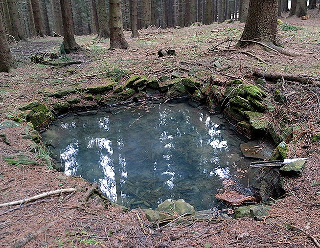 Lesní studánka (7842) - leden 2014
